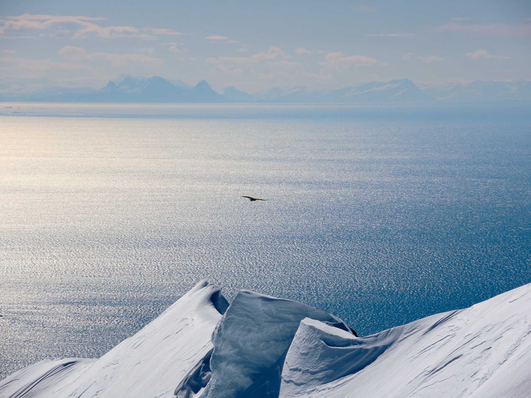 Splitboarding lofoten