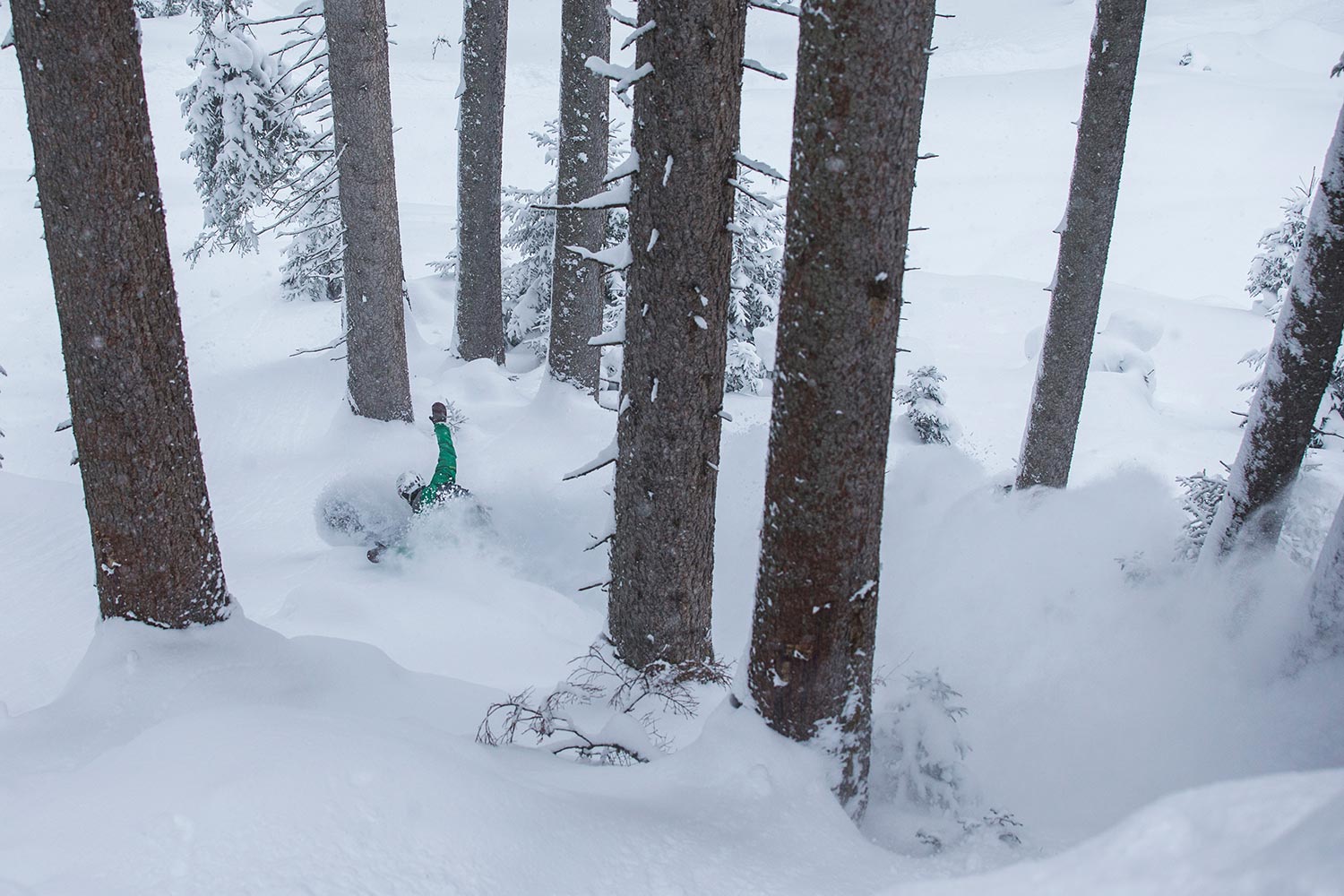 black sheep snowboarding